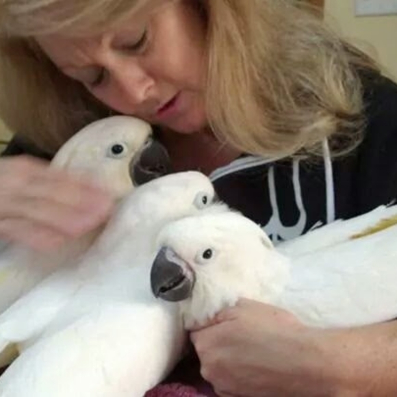 Meet your Posher, Paula - Picture 5 of 5